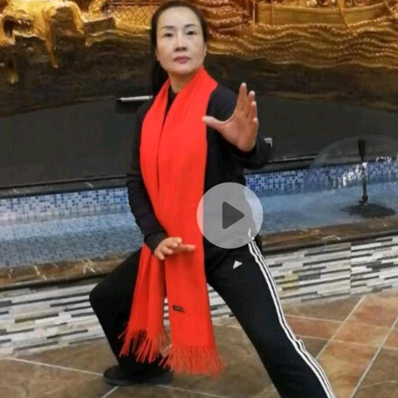 形意明堂南飞燕