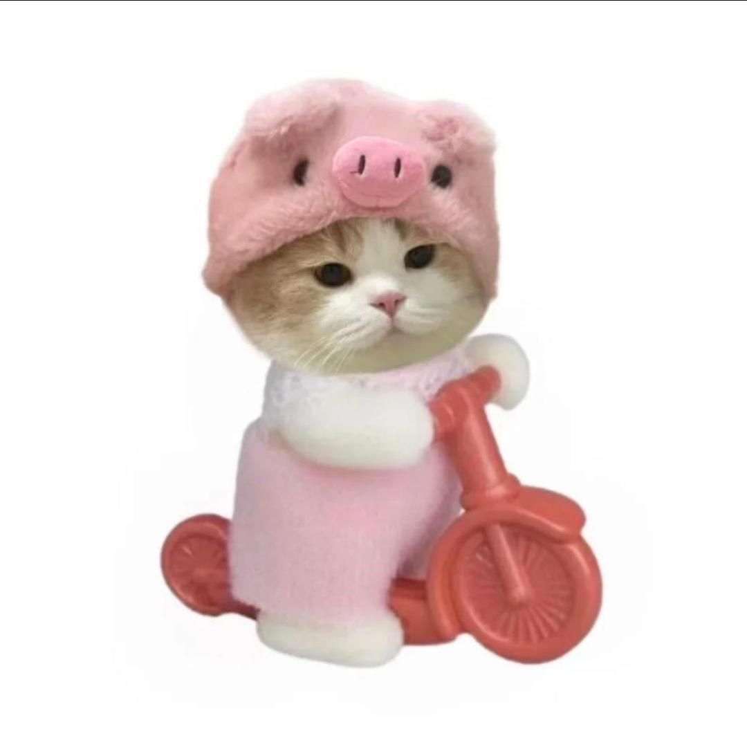 小 咪