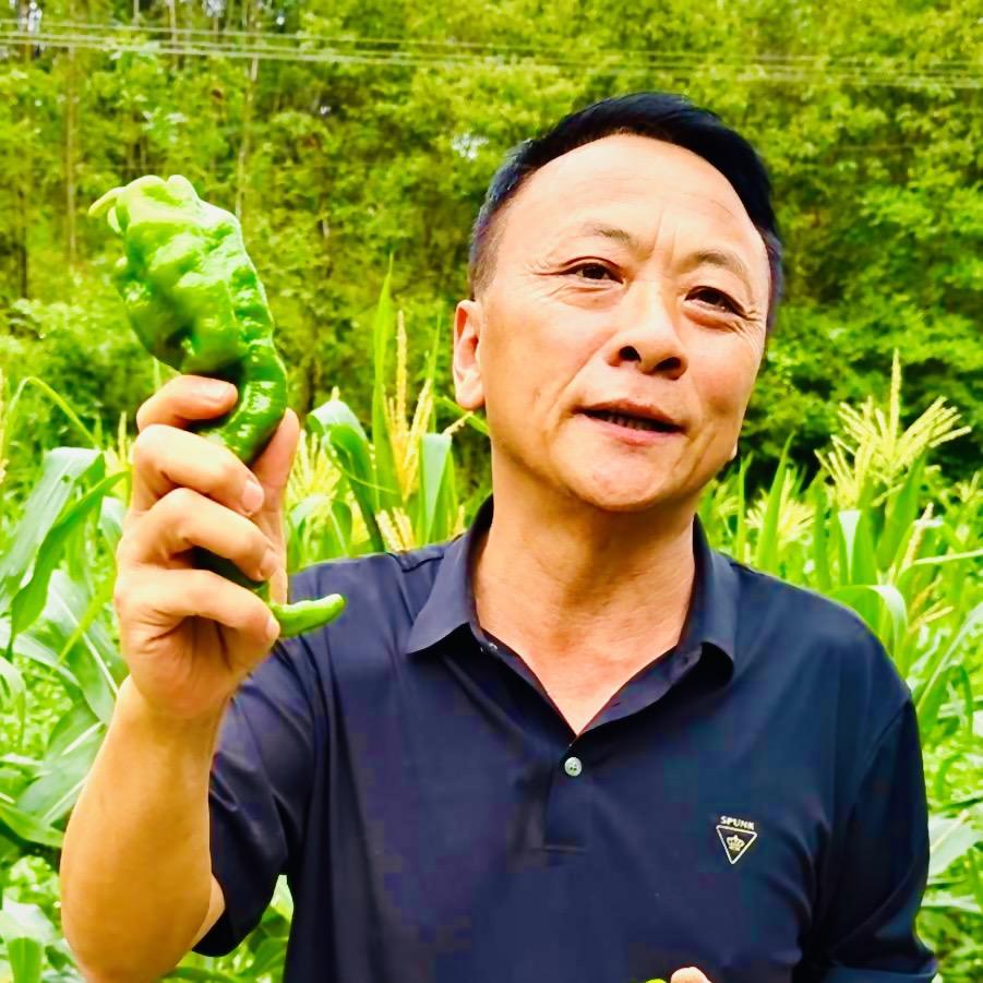 湖北坤伦农业