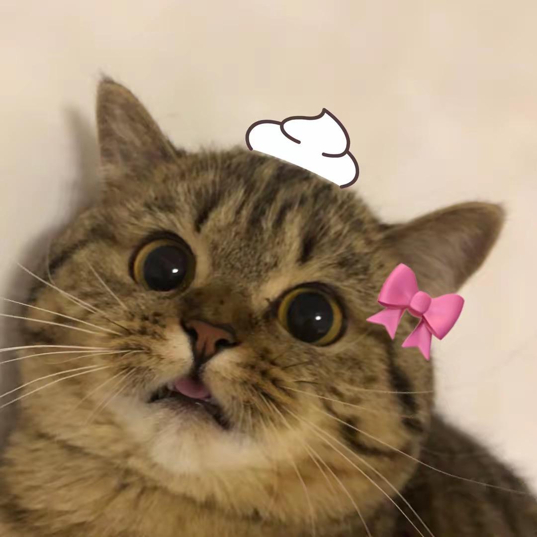 超超每日严选