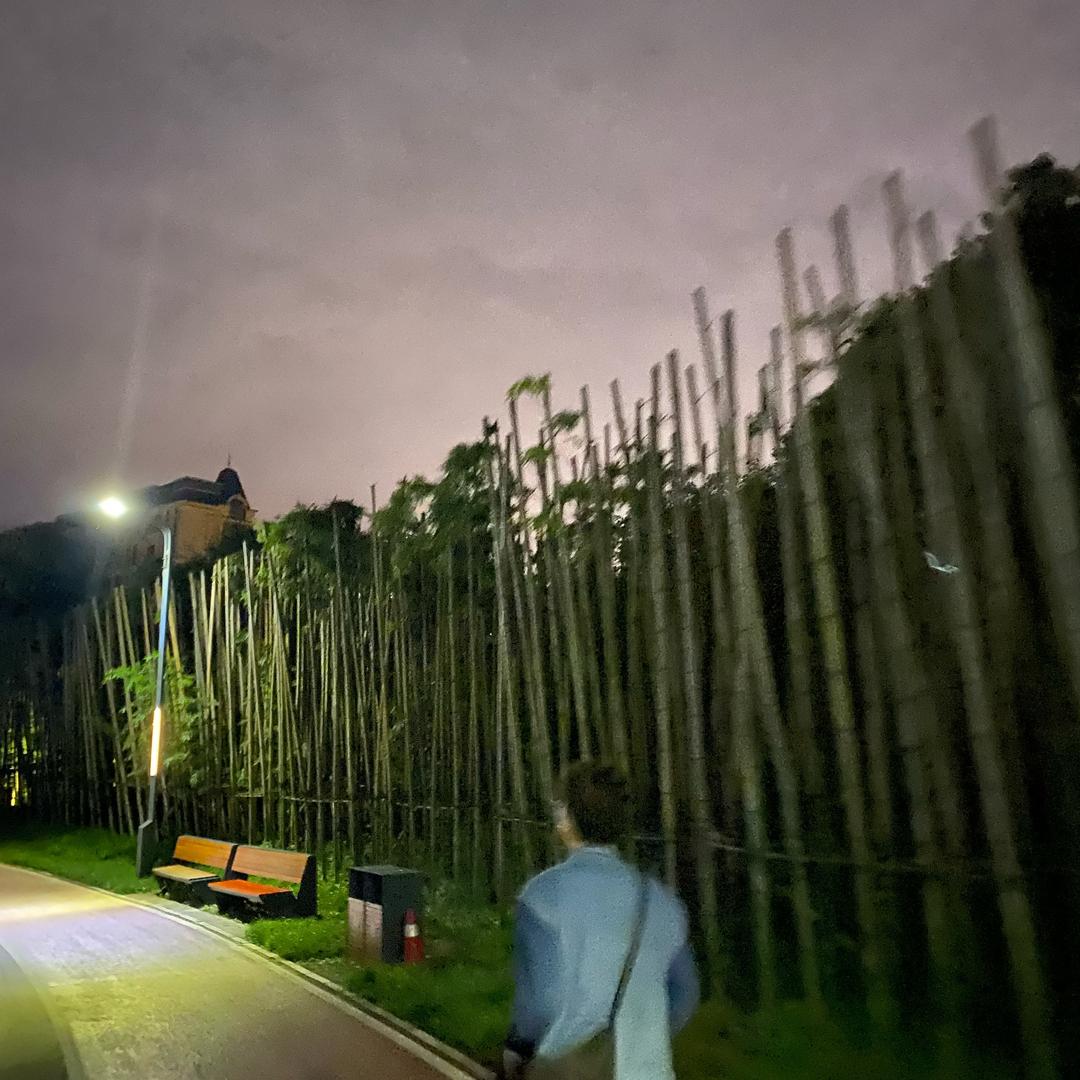 每天一碗猪脚饭#64597