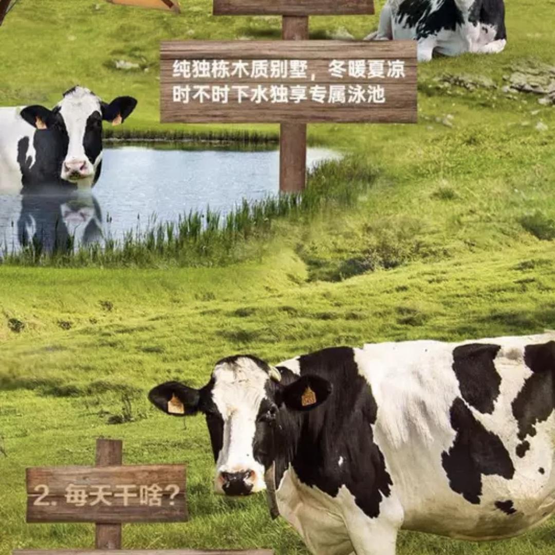 颂白百货商行