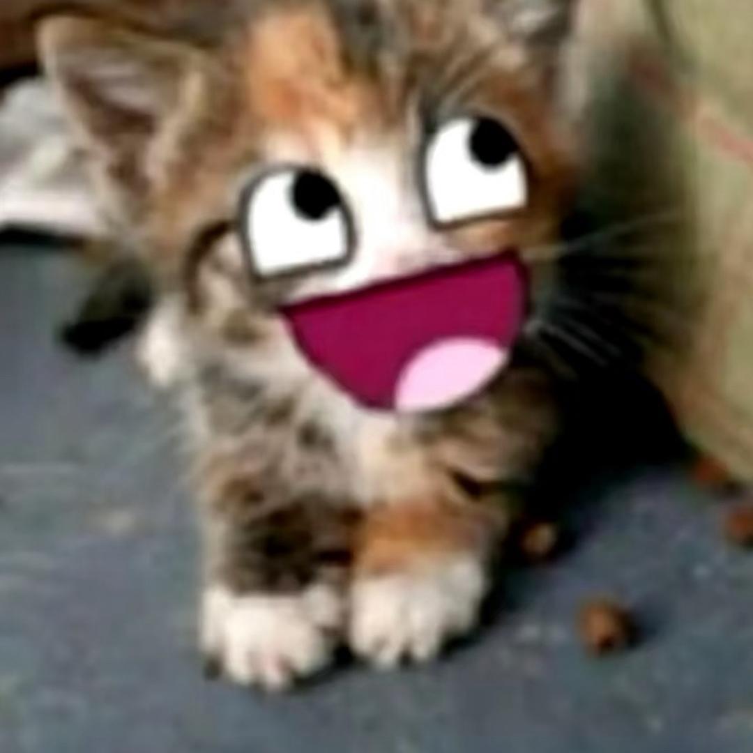 Nicky