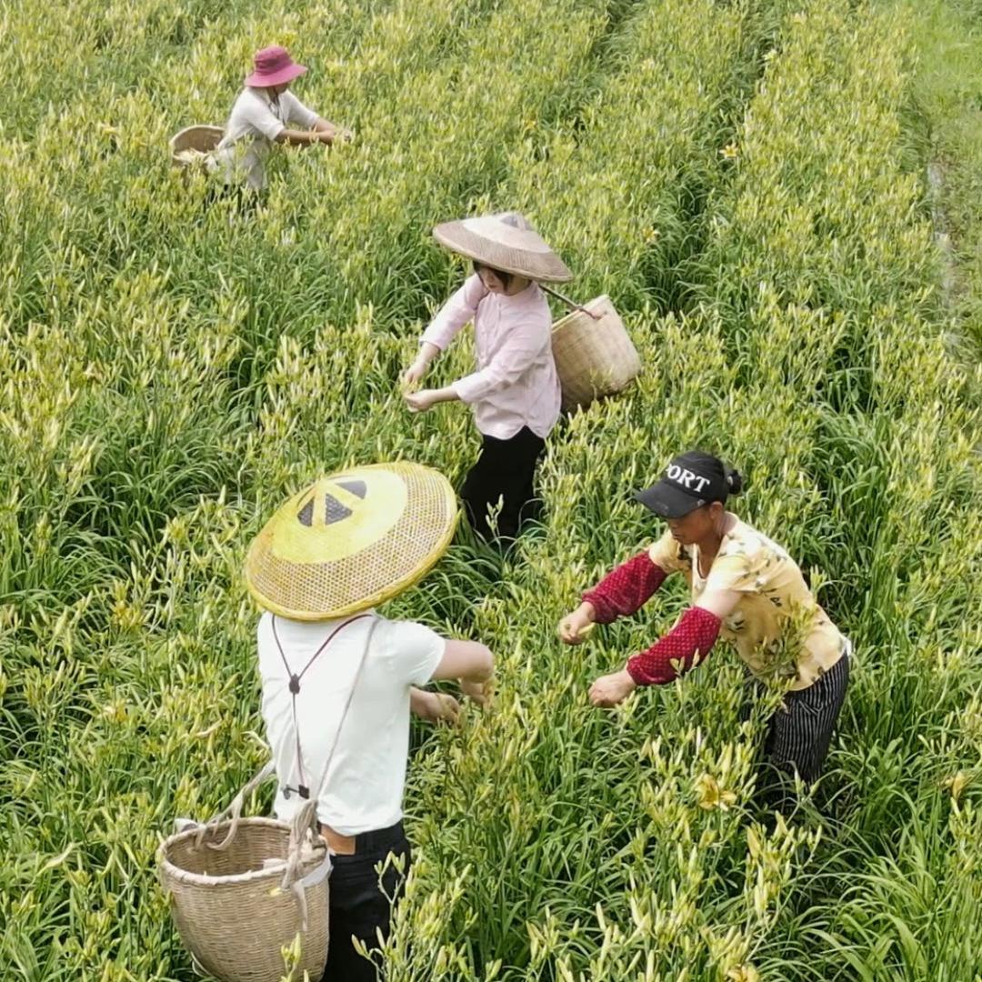 黄花铺子