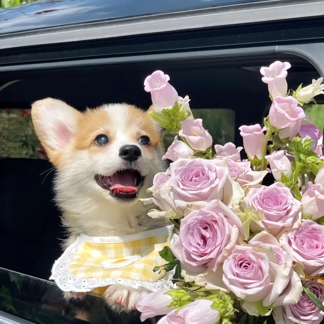 🌈🌈🌈做个局外人（养成中）