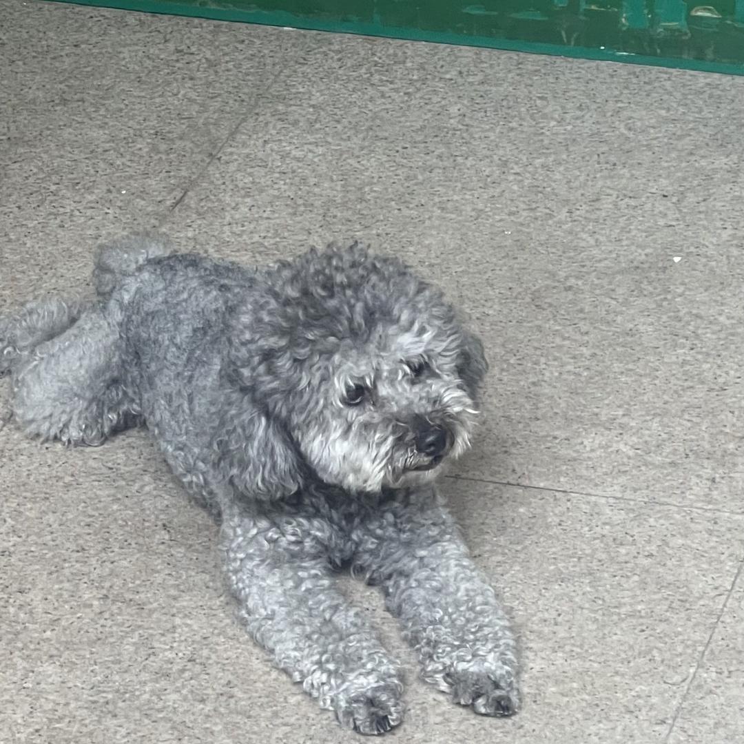 鹰鹏商用清洗剂源头工厂