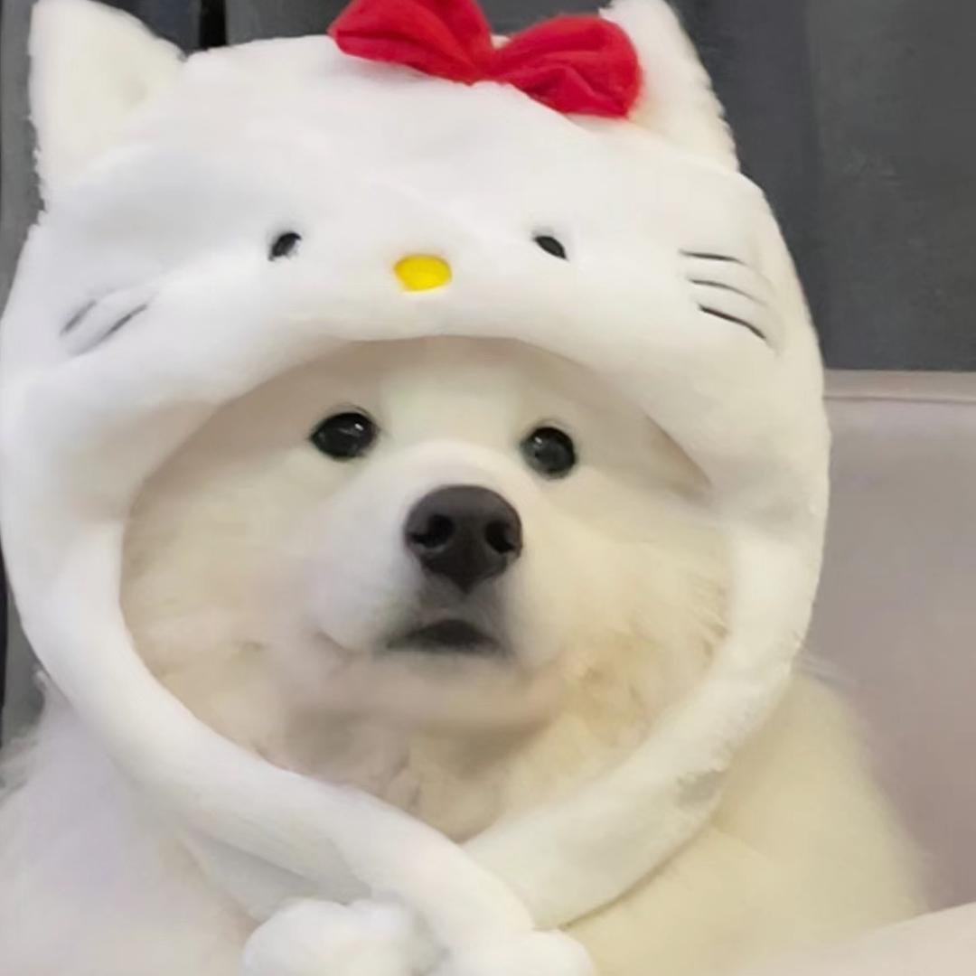 uu ㅤ