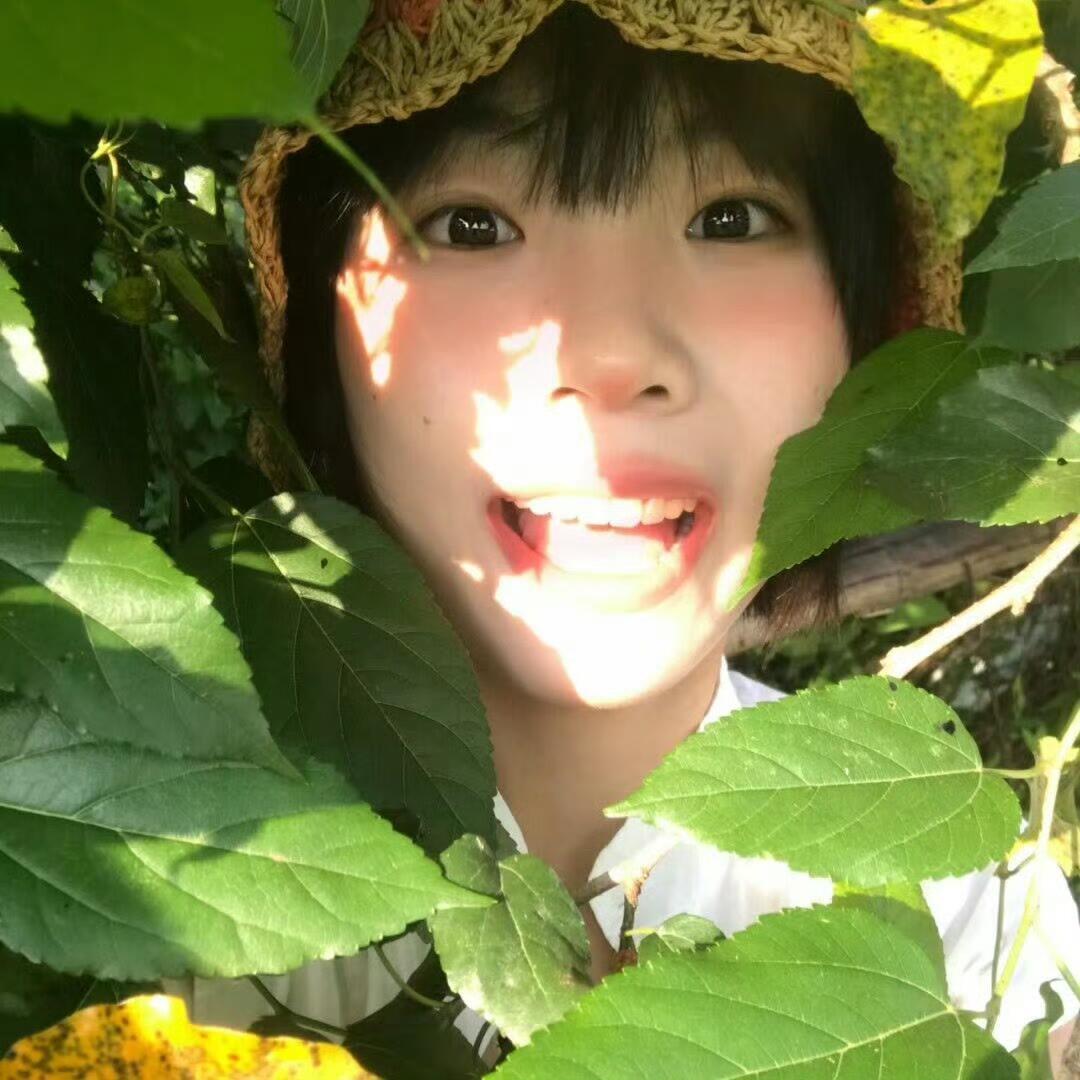 元宝团子