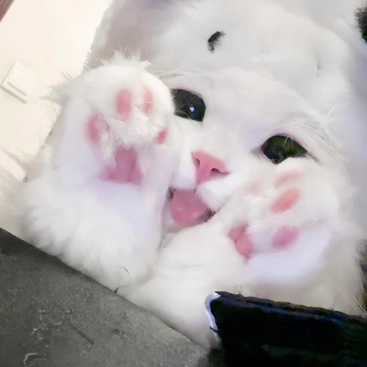 困困^_−☆