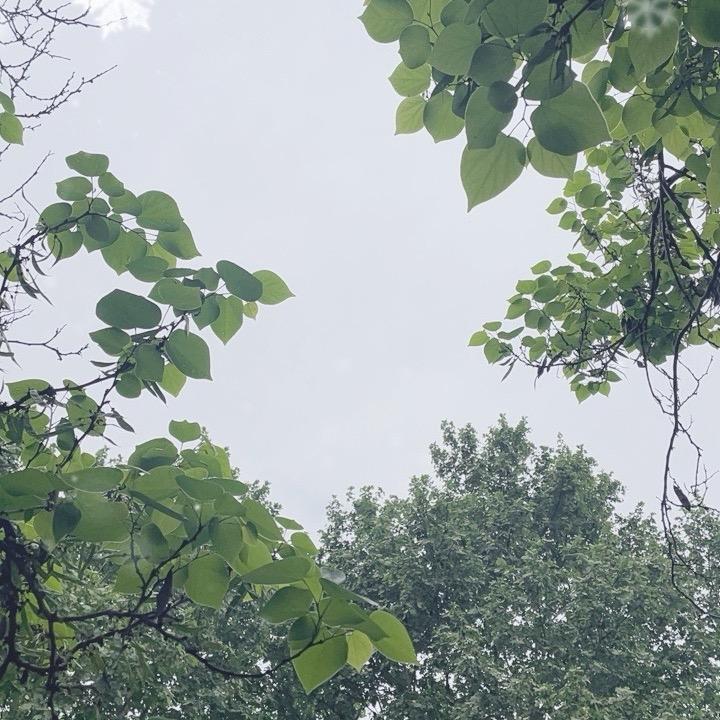 佐上脚➕粉丝群抱名