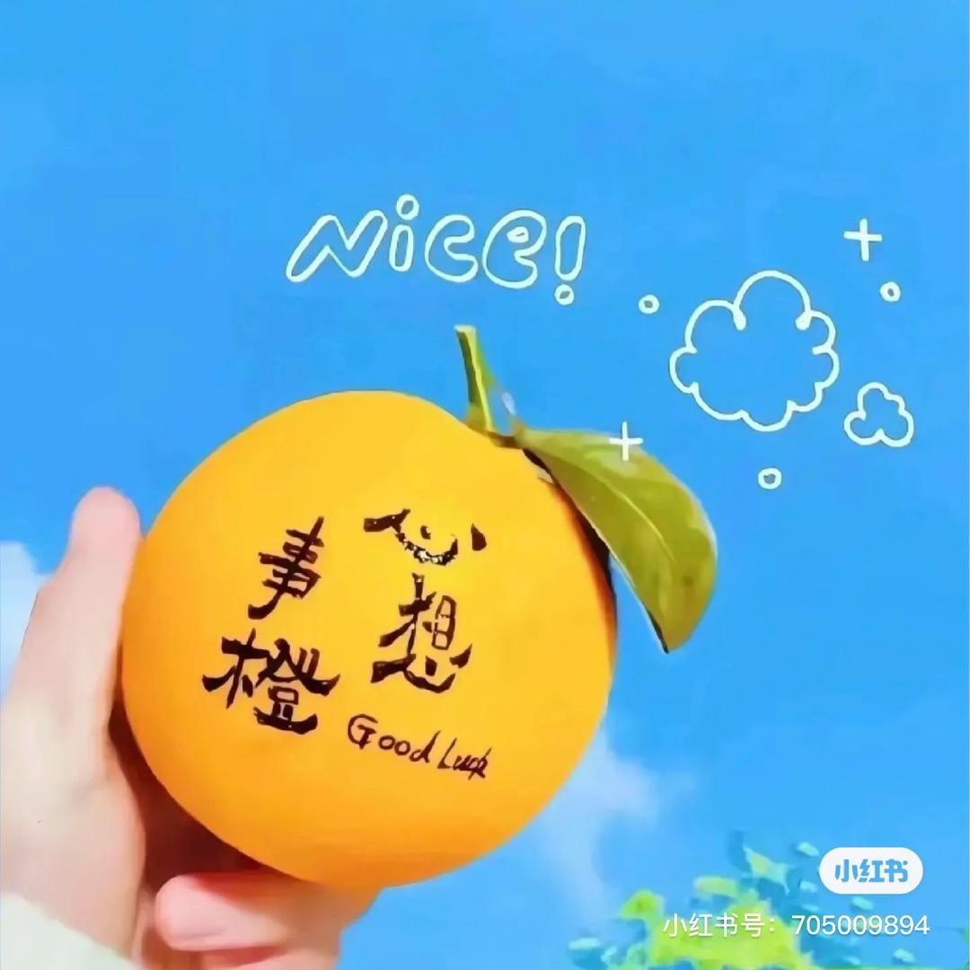 财团小丸子