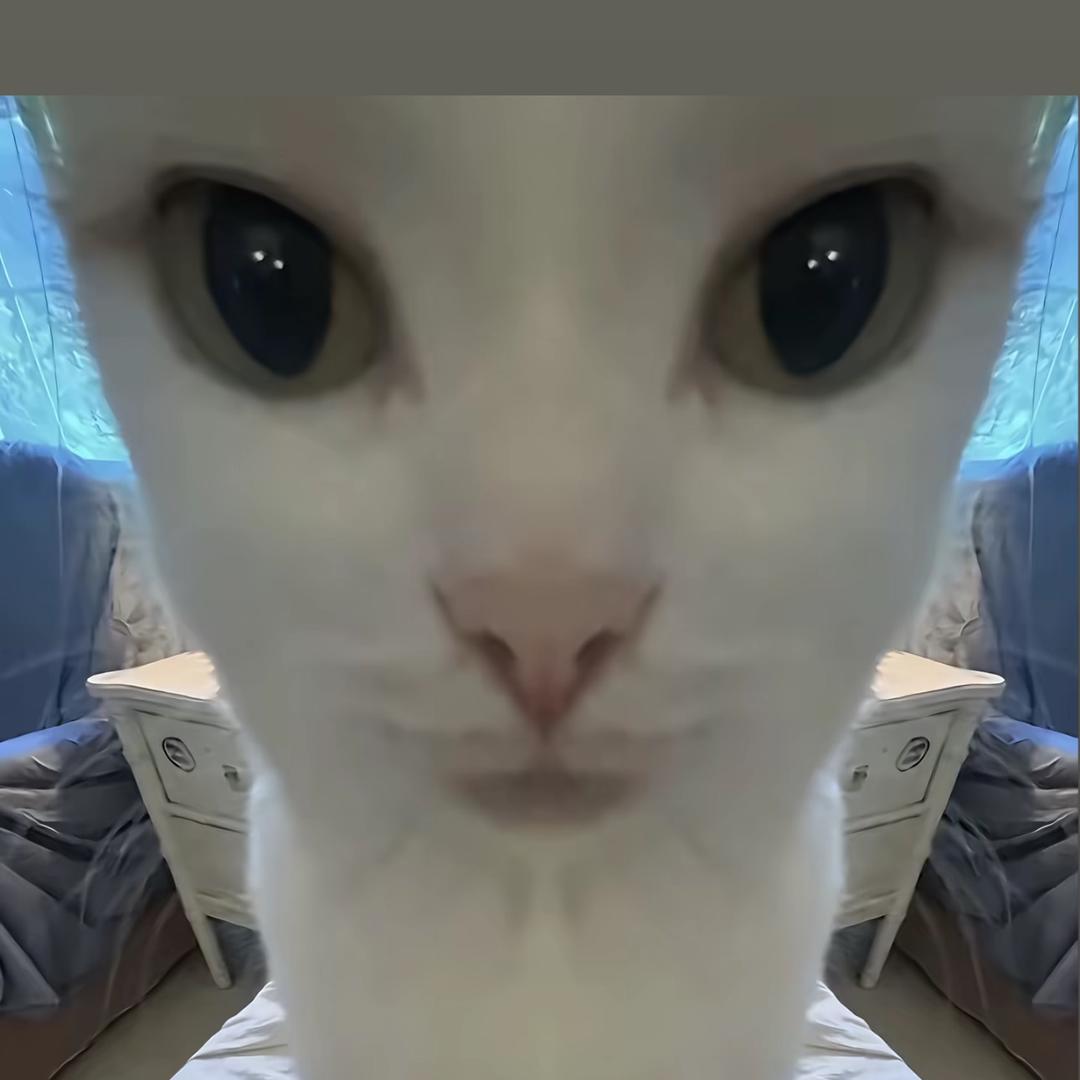 爆裂钢达姆
