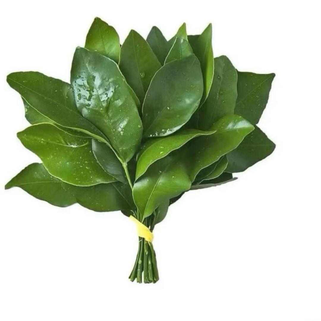 不要减肥