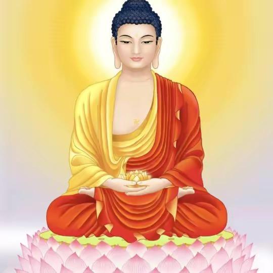 禅言师兄