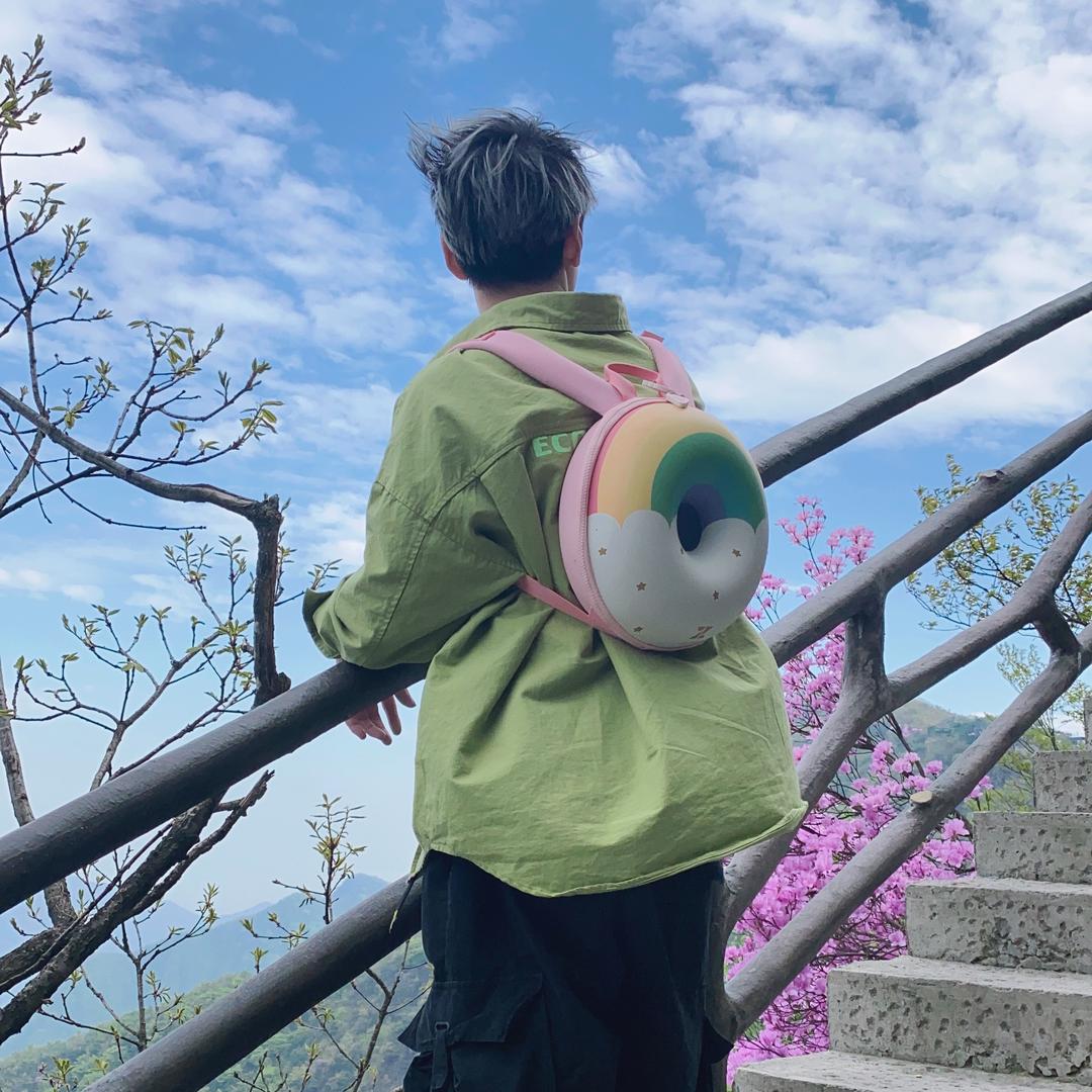 C的宝藏日记