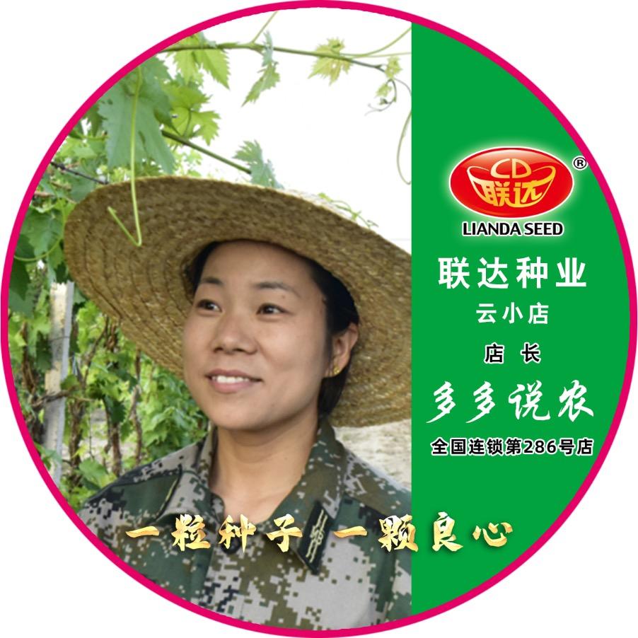 多多说农-小号