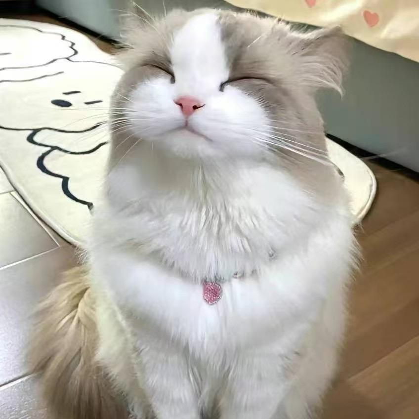 悾