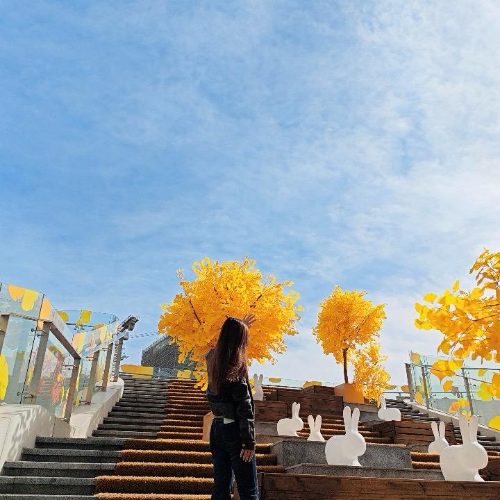 🍓是媛媛吖🫧