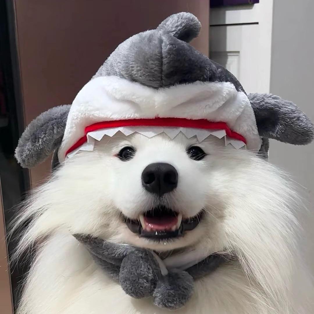 ZhangXyi