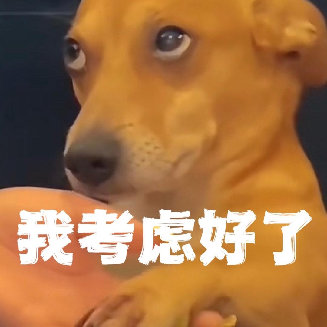 林不更新