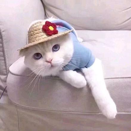 下水道鼠鼠人