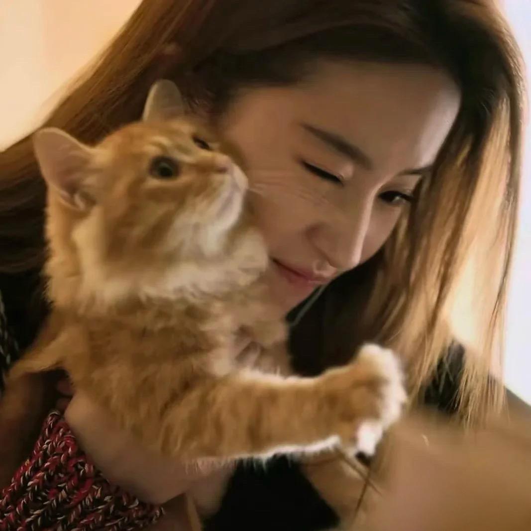 煎妮💞