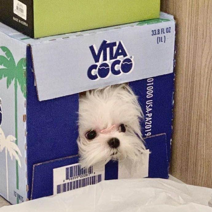 谢邱凡