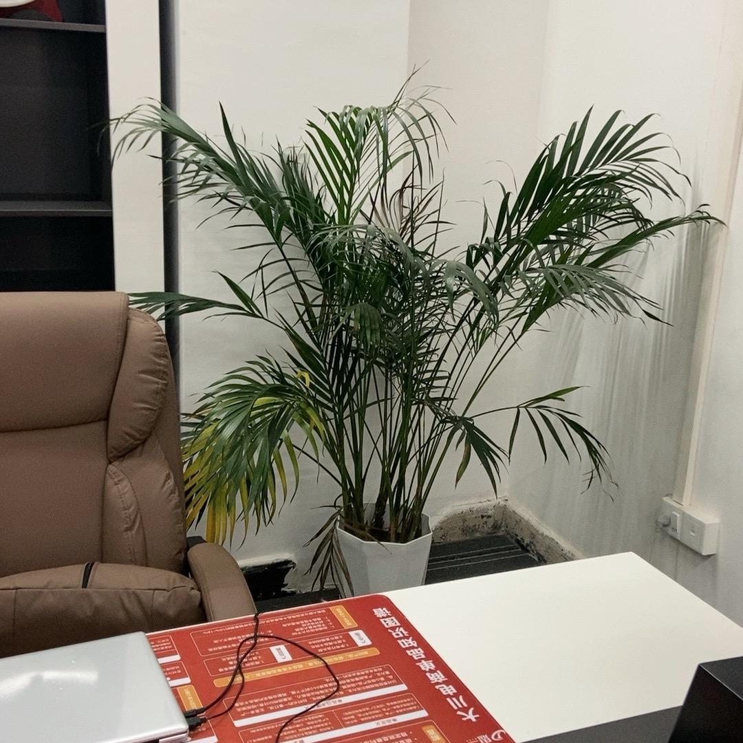 非常道冷冻饵工厂5号店