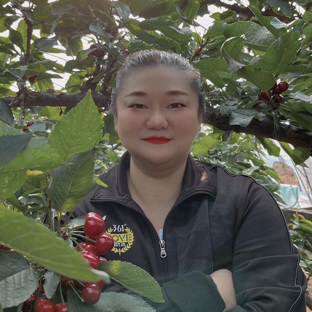 瓦房店大宇