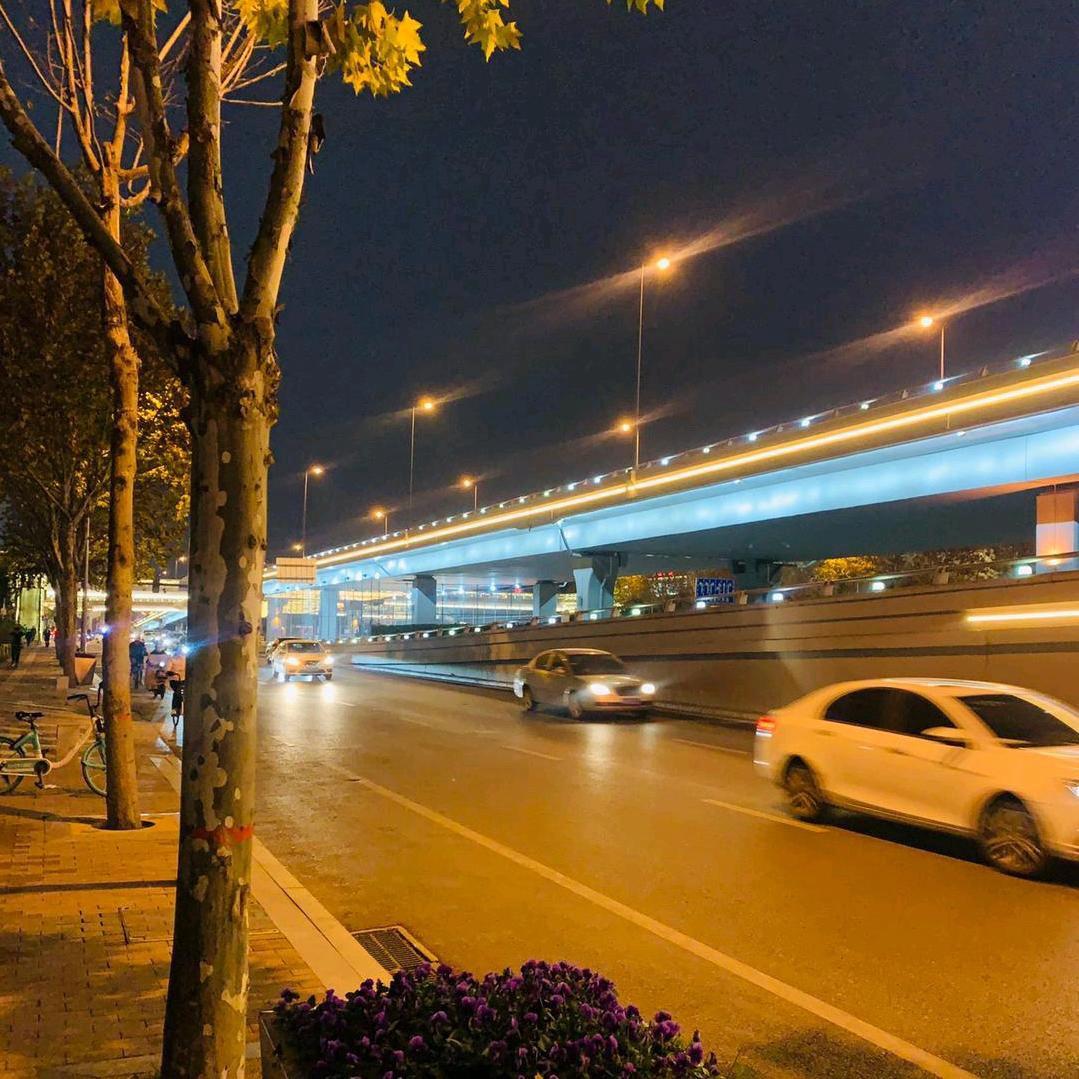 不喜欢吃香菜的小滚同学