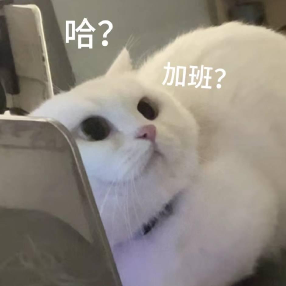 做梦都是开摆