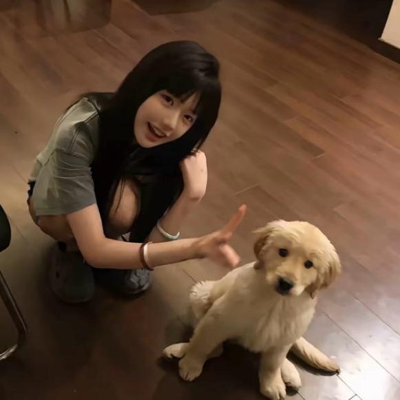 当过舔狗卖过萌