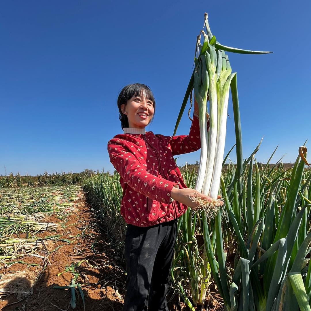 太行葱妹子赵小萌