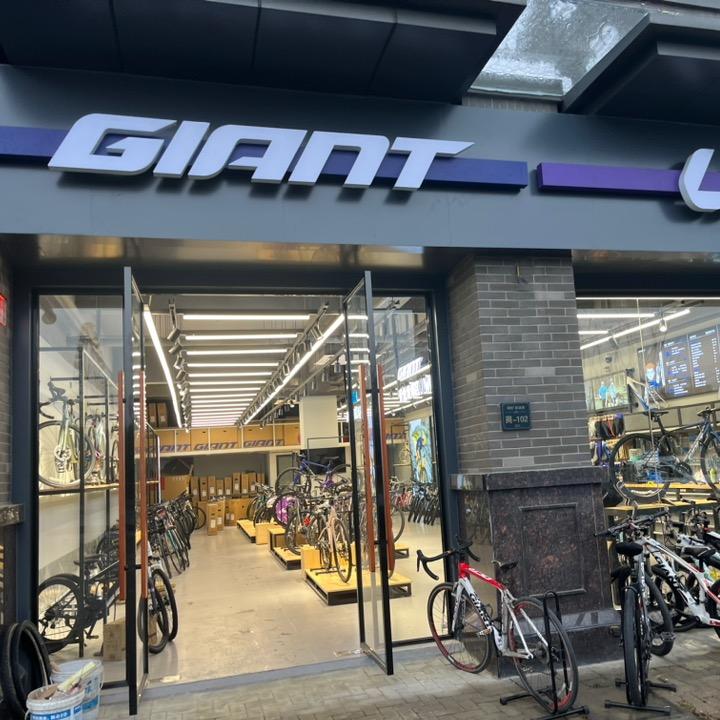 捷安特滨湖燕子