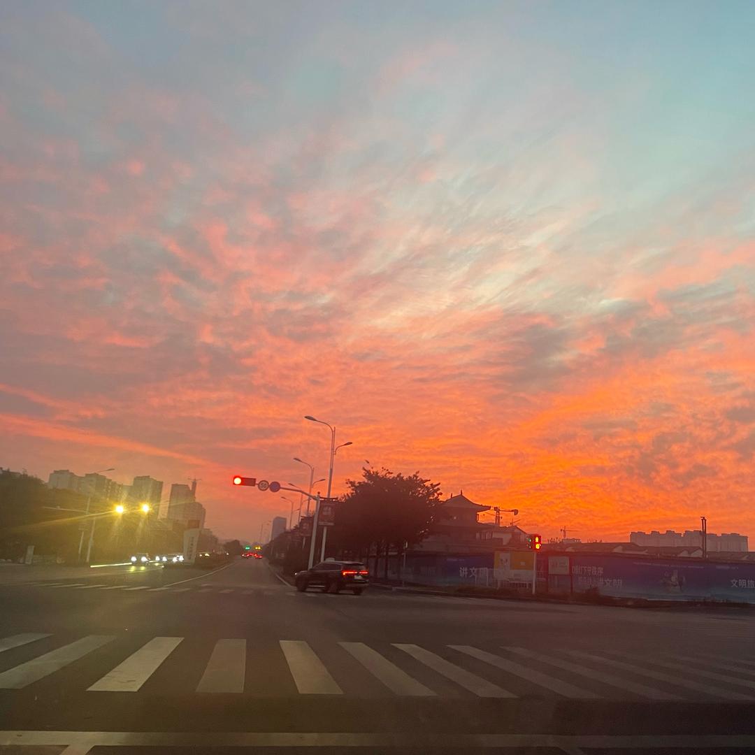 苏喂～苏喂💗