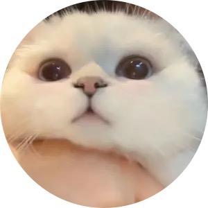 小刘⁰⁹⁰¹