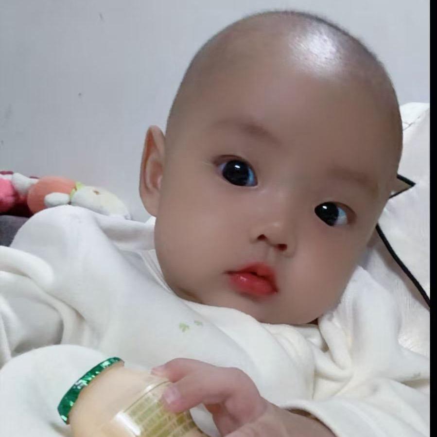 小金龙🐲