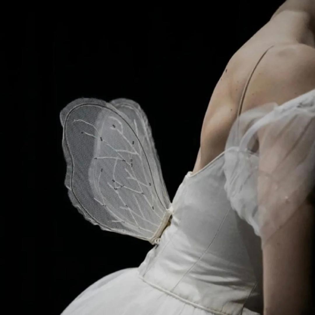 贝蒂舞蹈培训中心