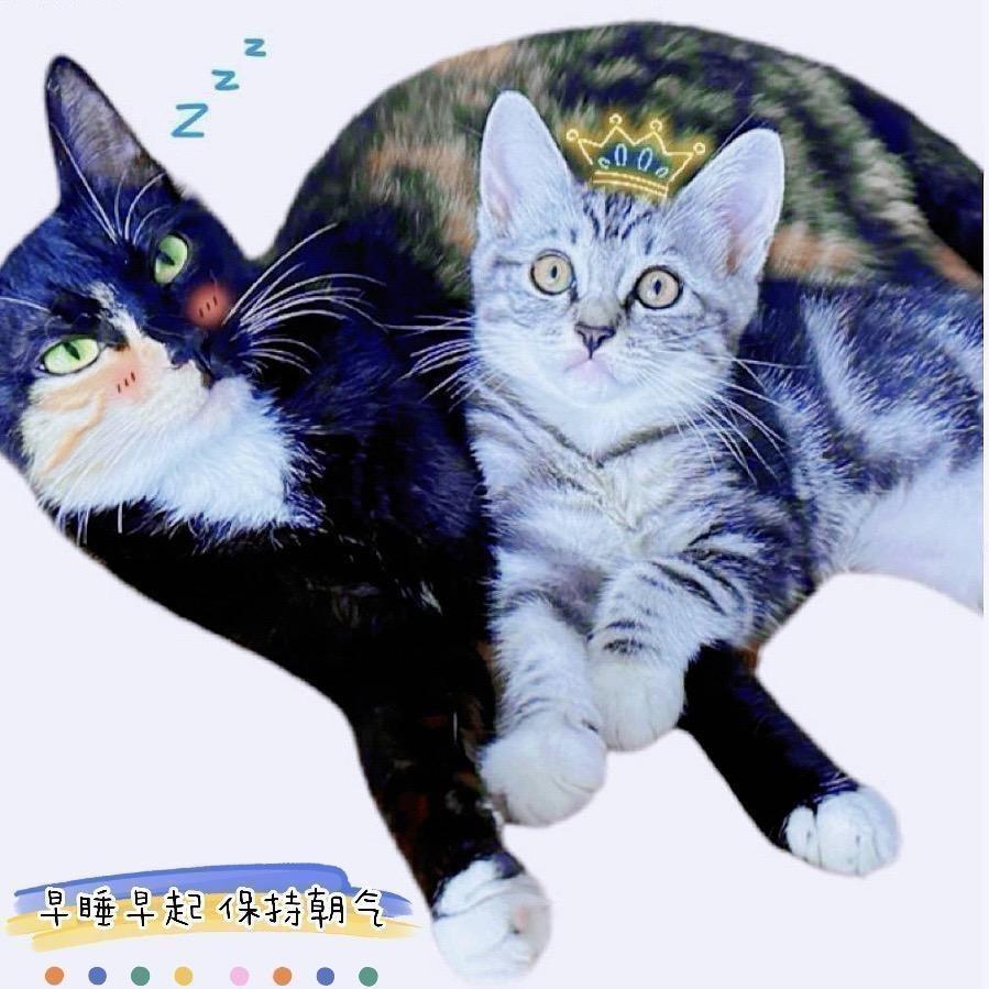 ㅤ 溪佚沫