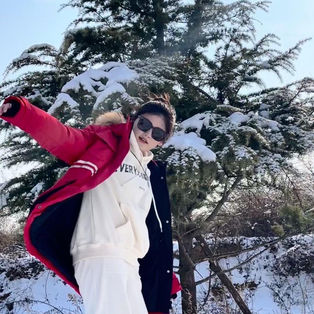 阿尔卑斯灰太狼