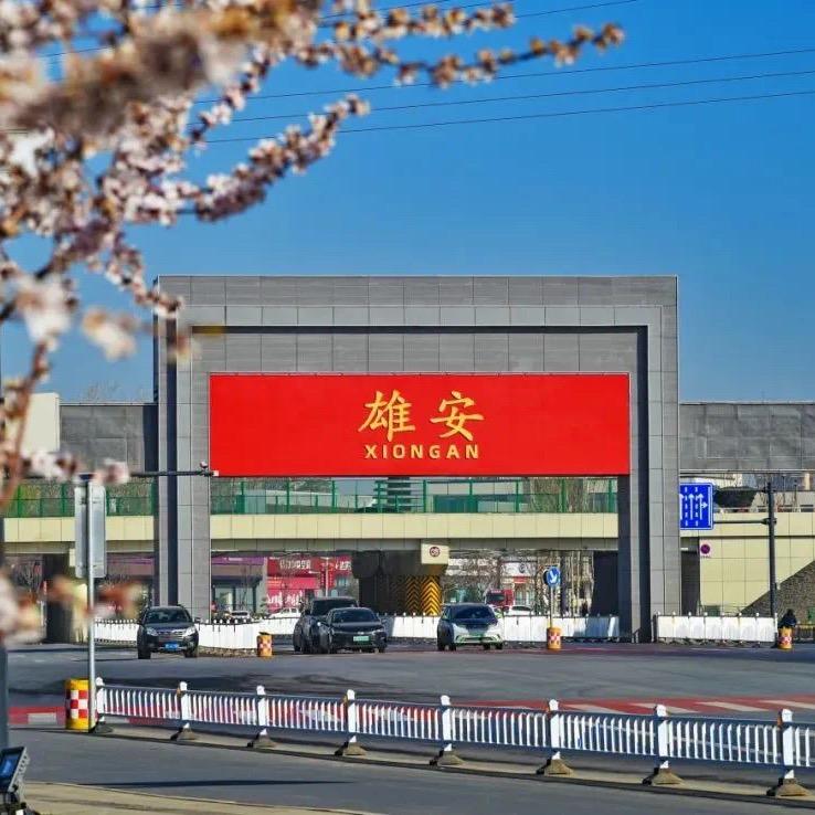 雄安新区售楼处