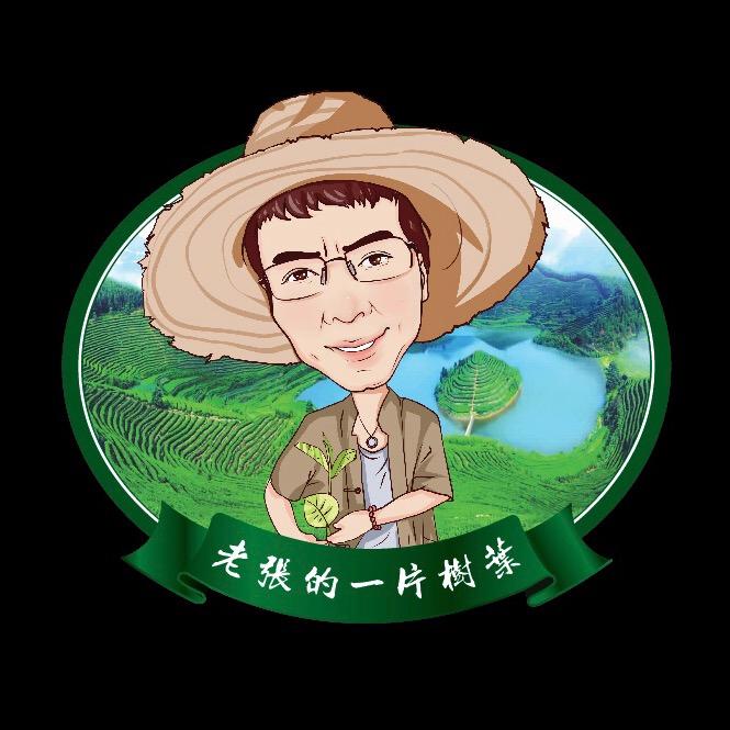 壹片树叶