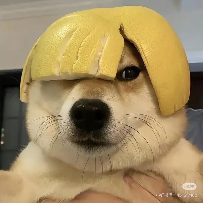 遇久