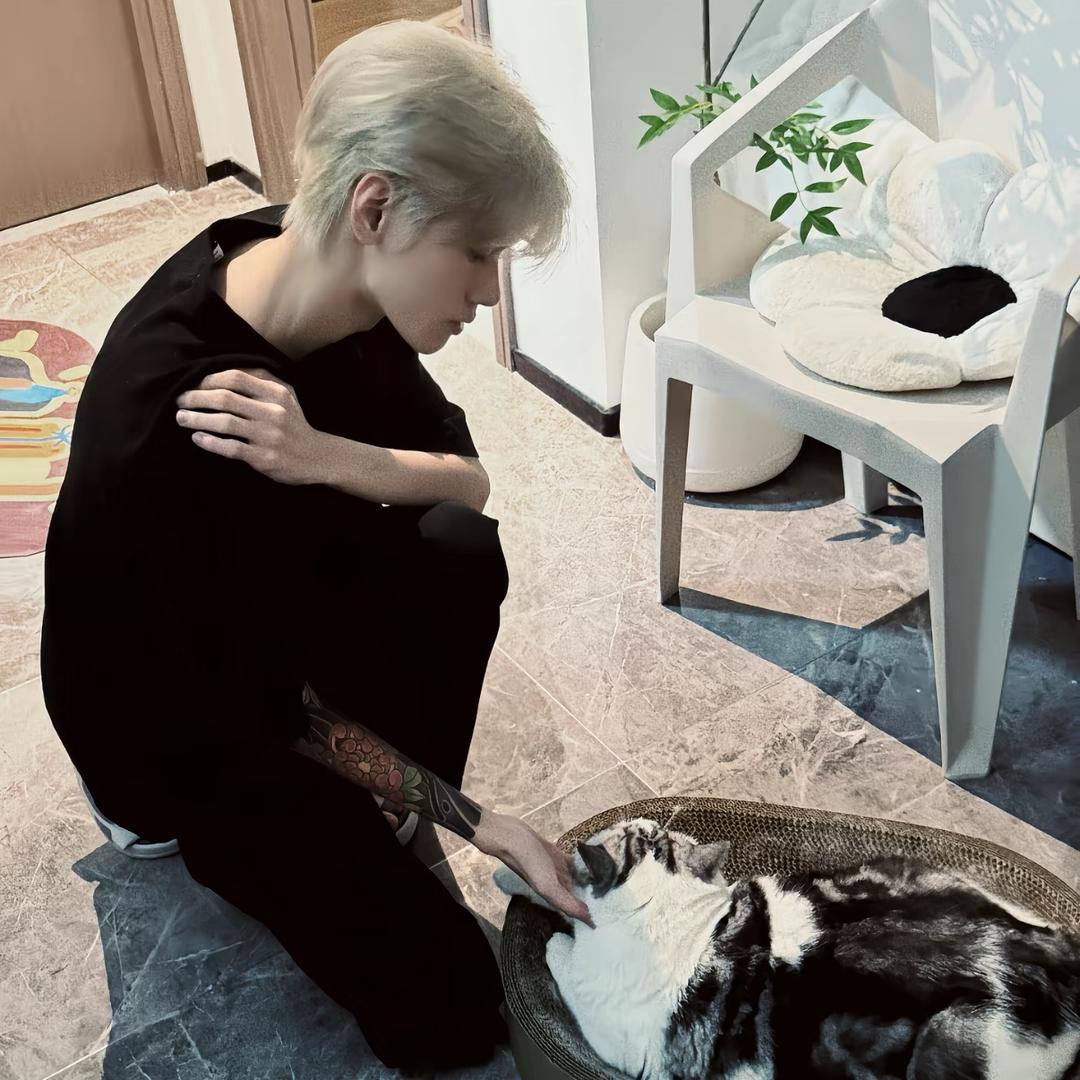 不吃🐟的猫