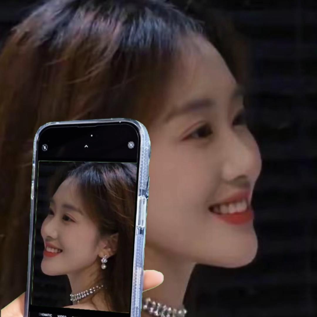 梦中之情 何必非真