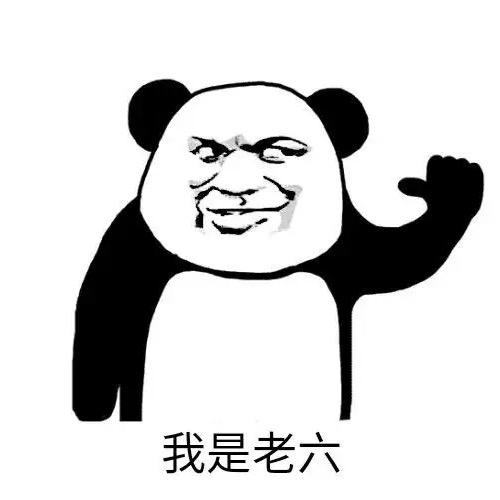 老六新视界