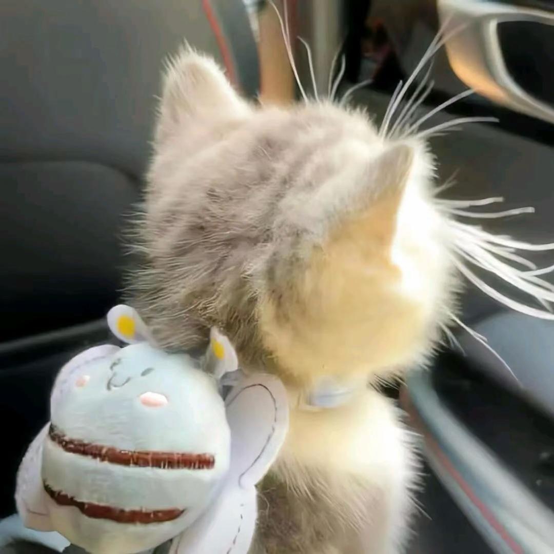 海之言ᥫᩣ༠°