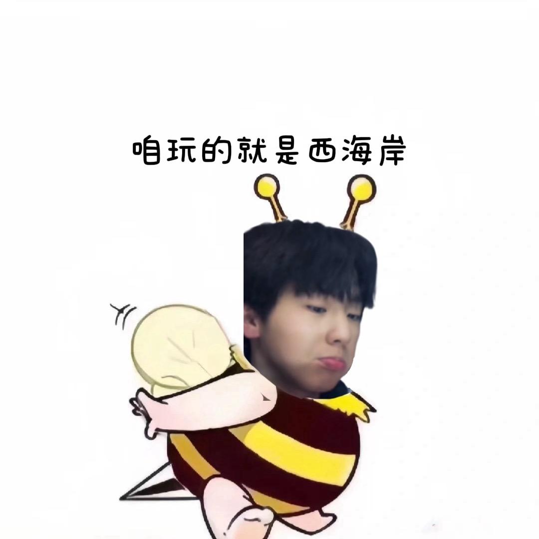 长春丽迪labo订台版