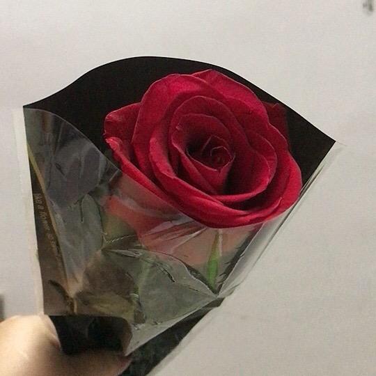 张丽