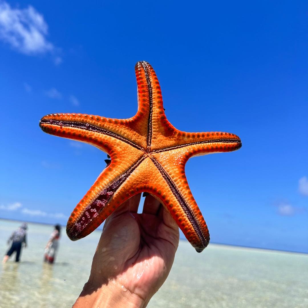 派小星🛵@抖音